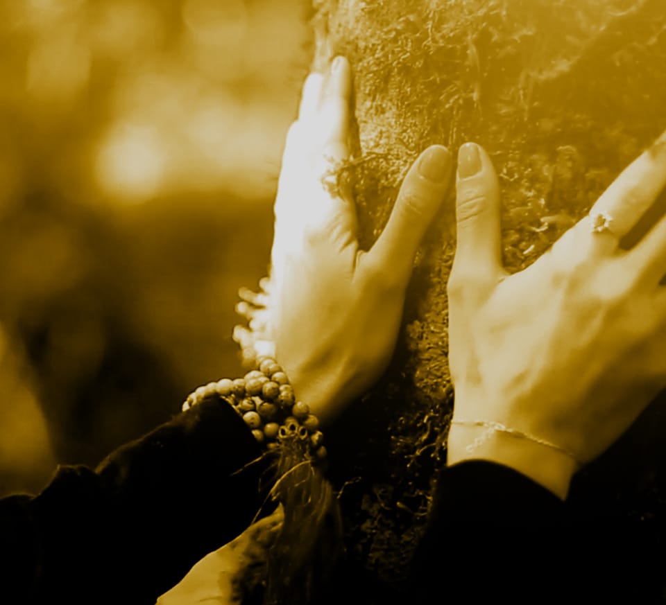 Barbara Kersting (participante da xª Jornada  nas Estrelas)  “Quero mais uma vez, agradecer de todo meu coração, pela vivencia do Alquimia!! A energia e a luz que vêm de todos vocês, através dos olhares que nos dedicam, dos abraços fortes e quentinhos que nos acolhem, e das palavras, ah as palavras, que veem como forma de abrir de olhos até o acalmar no coração, são a melhor parte de podermos desfrutar a viva “vivendo”. Eu nunca tive tanta sensibilidade em me perceber, em me conhecer, em deixar eu ser, em viver o que eu desejo, sem ter passado pelas jornadas com vocês e com todo tratamento que venho fazendo com a Fran. Acho incrível e encantador a forma como tão simplesmente, vocês nos curam de nossos medos e nossas experiências tristes, e nos dão a essência de volta de tudo que queremos ser, sem precisar ter medo e apenas confiar que sim, vai dar certo!! Tudo vai dar certo porque merecemos e queremos que dê certo!! Tudo vai dar certo se permitirmos que aconteça a transformação!! Tudo vai dar certo quando se tem amor!! E claro que eu não poderia deixar de exaltar isso que tão divinamente pula do peito de vocês!! Tiveram vezes que eu vi saindo de alguns corpos uma luz que não tem brilho maior e que é tão quente e boa, que parece uma boa companhia, que acredito essa ser a nossa mesma!! Toda vez que alguém me pergunta do Projeto Star e apenas digo: O Projeto Star é um projeto onde eles trazem o amor de uma forma tão simples e respeitosa, que só é possível sentir amor, respirar amor, viver o amor e aceitar o amor.... sendo para o outro mas principalmente para si mesmo!! Ou seja, o projeto Star é um projeto de Amor!!